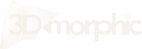 3D Morphic